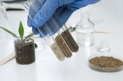Laboratory Analysis